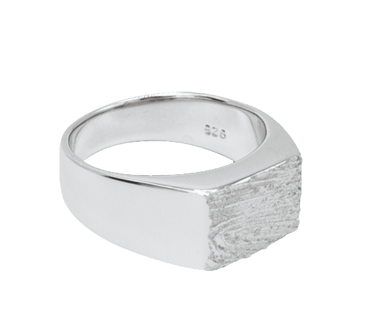 ring-e1694083055176 (1)
